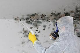 Mold Remediation for Rental Properties in Hummelstown, PA